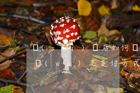 實(shí)體店如何開展分期業(yè)務(wù)及支付方式？
